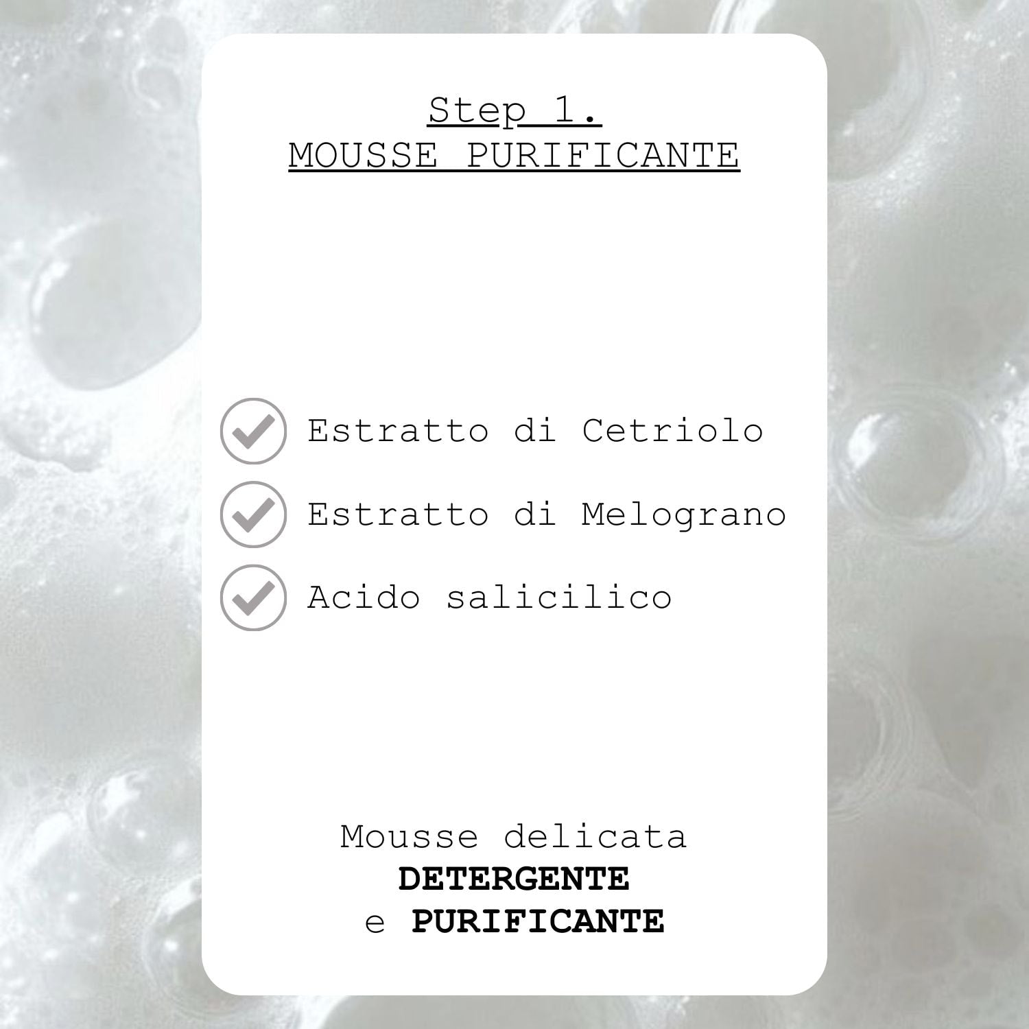 PLANT MOUSSE Clean Purifying / Hand & Face