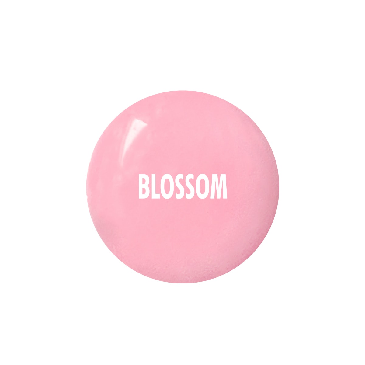 BLOSSOM MI-NY Srl