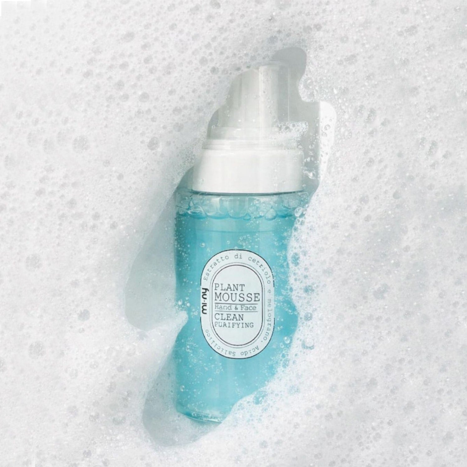 PLANT MOUSSE Clean Purifying / Hand & Face