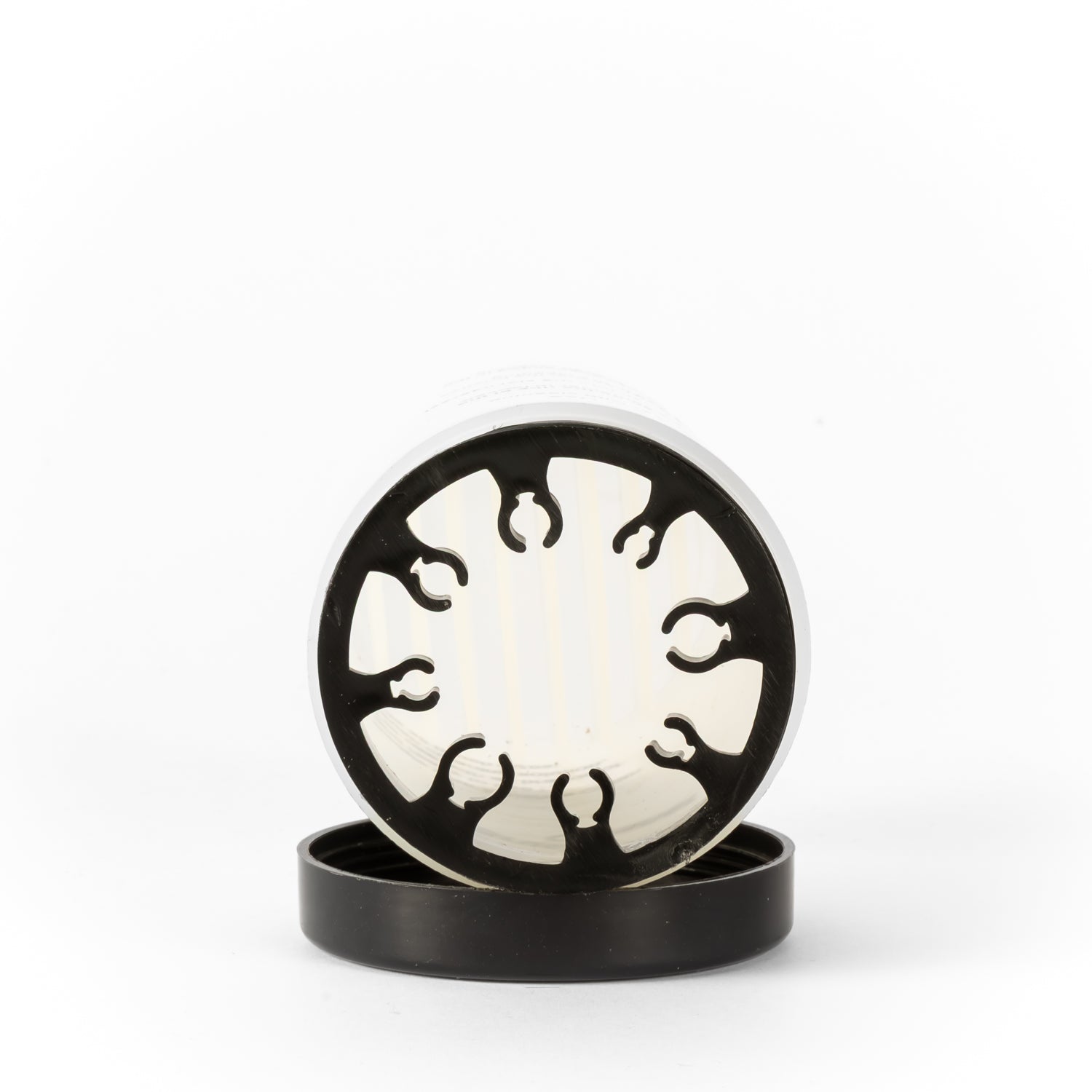 Container for brush cleaning