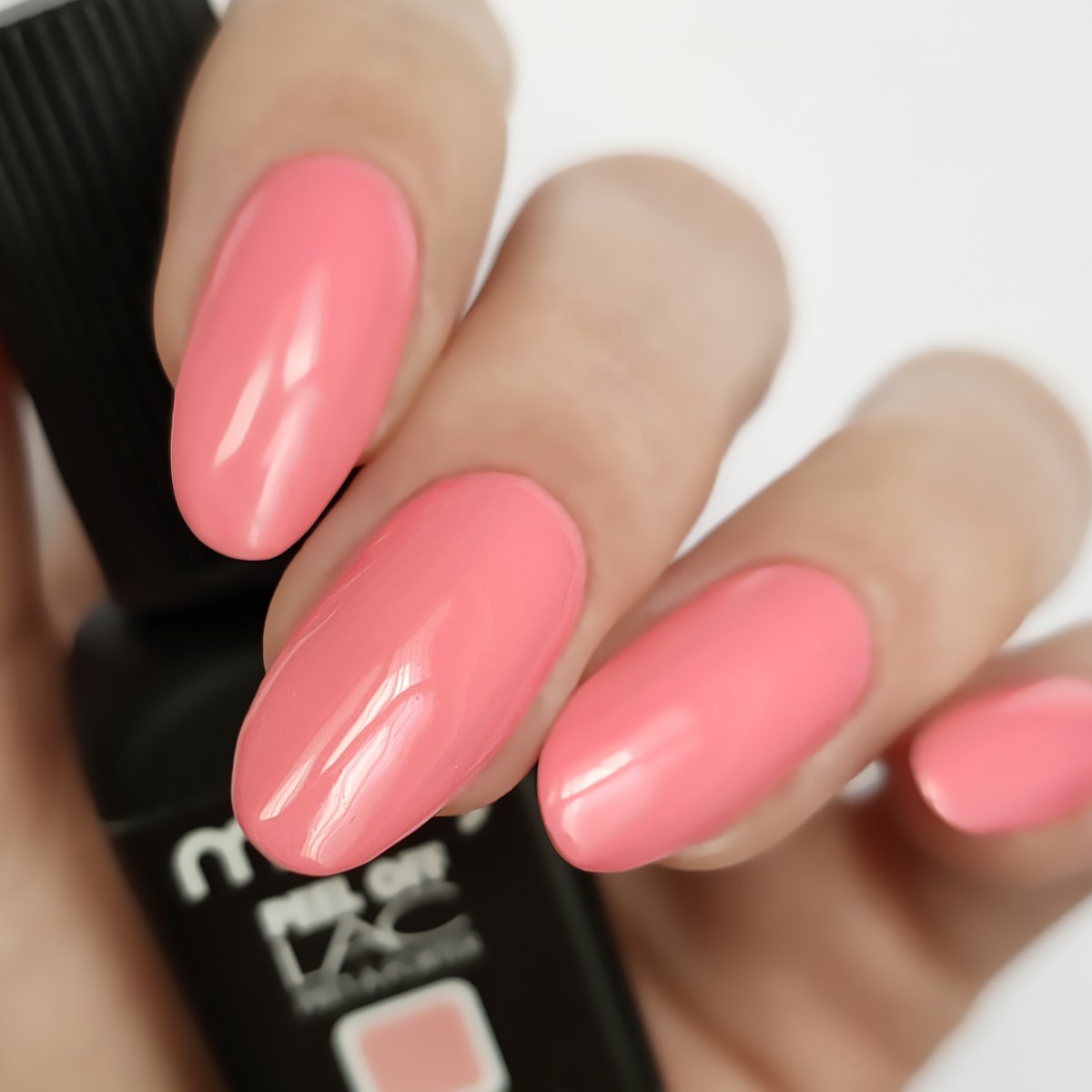 DUSTY ROSE