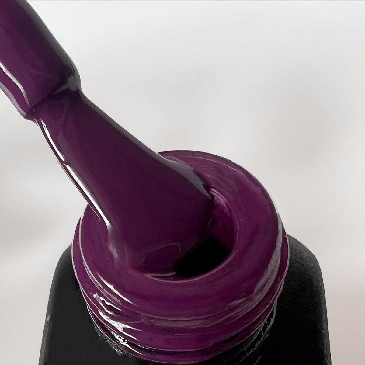 MAUVE WINE MI-NY Srl