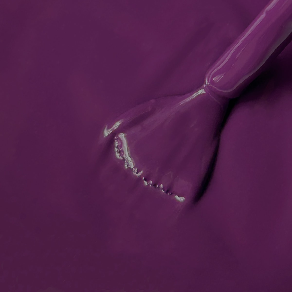 MAUVE WINE MI-NY Srl