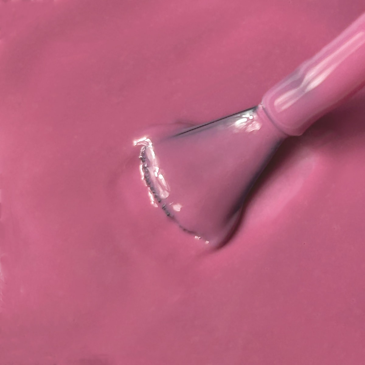 MINIMAL ROSE MI-NY Srl